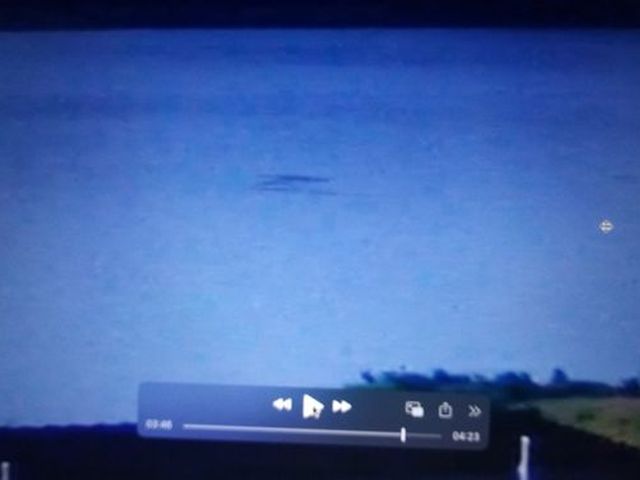 Irish Loch Ness Monster Spotter Captures Images Of Giant Eel Like