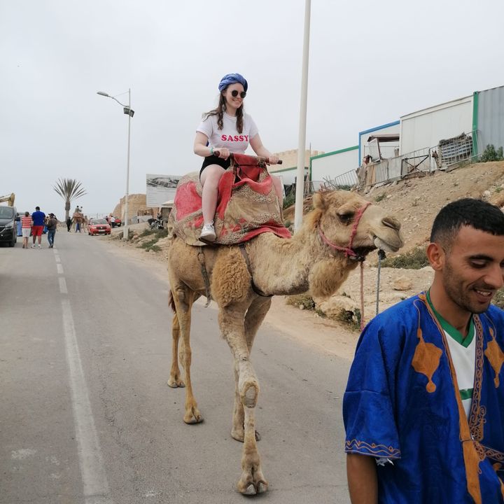 Camel rides