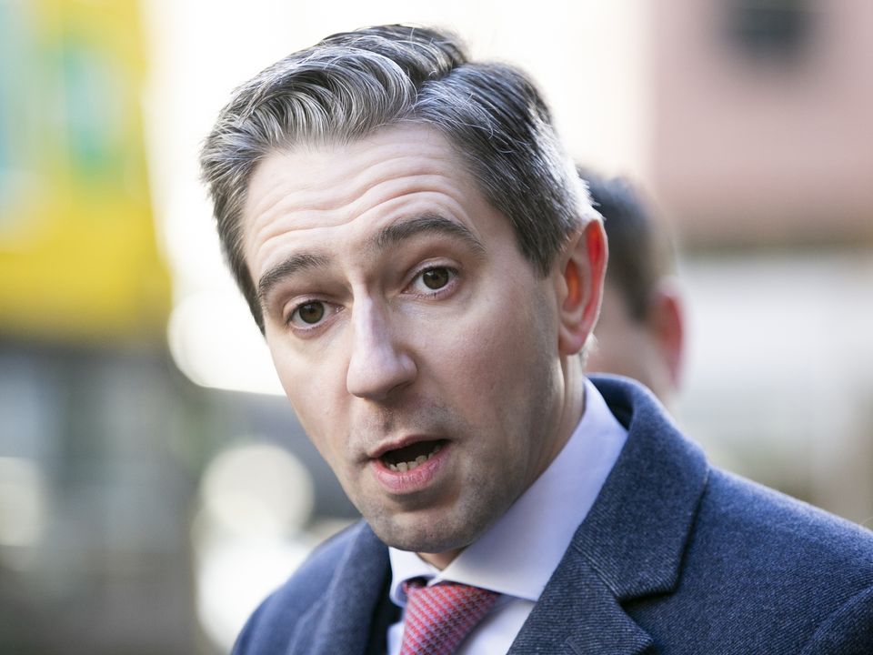 Justice Minister Simon Harris. Photo: Gareth Chaney
