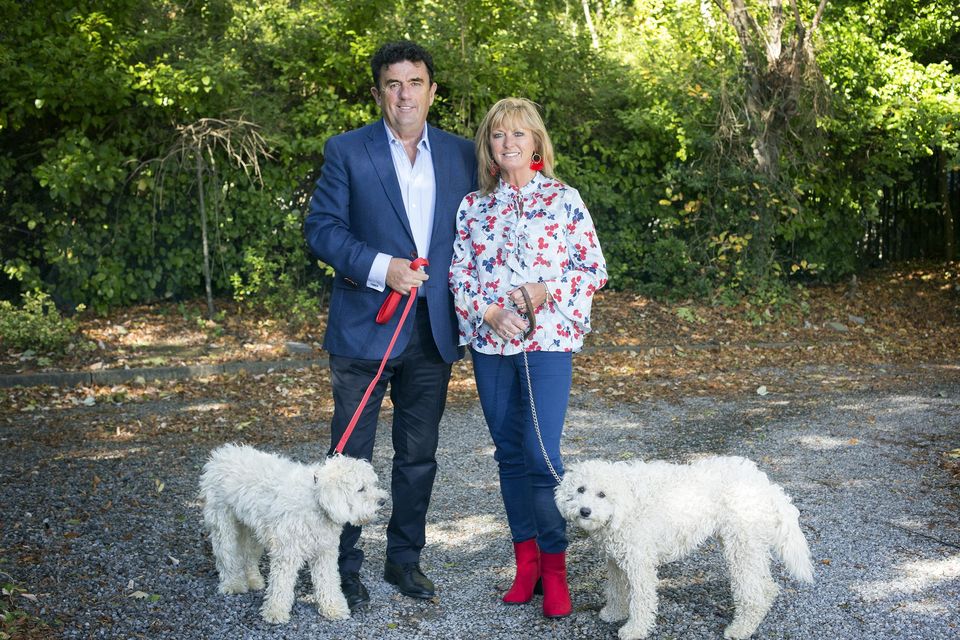 RTÉ sports presenter Des Cahill and his wife Caroline Curran with their dogs, Lauren and Harvey. Photo: Tony Gavin