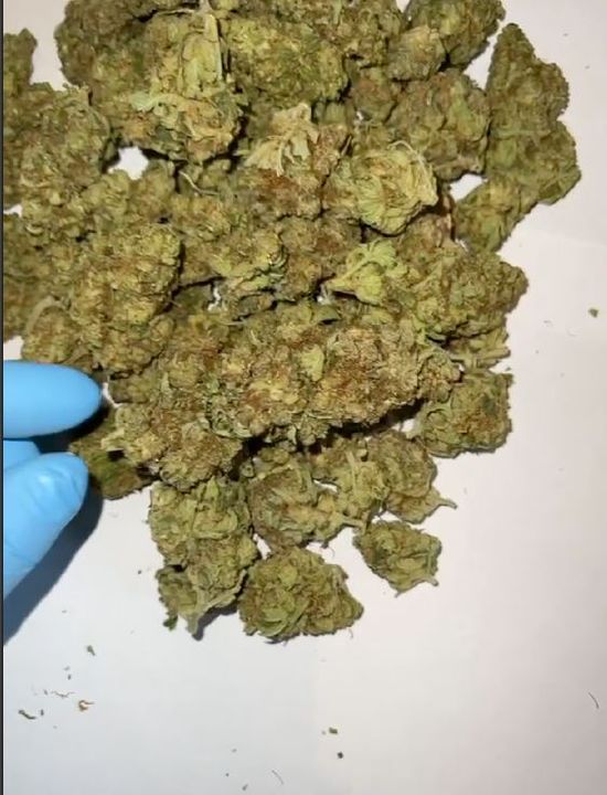 Telegram drugs