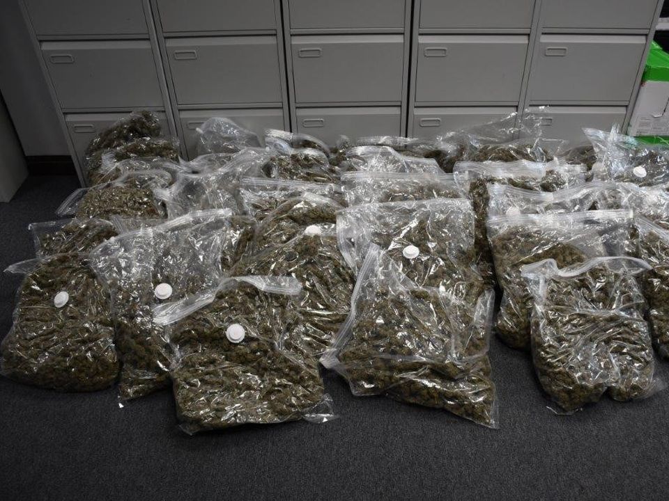 Part of the huge haul of drugs Part of the huge haul of drugs