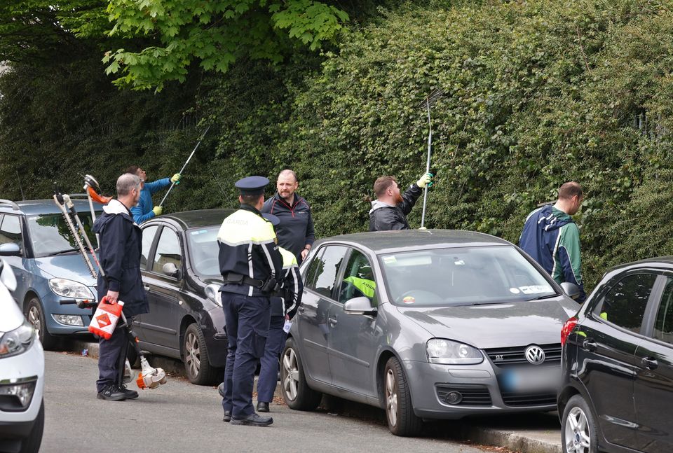 Investigators search through hedges on Curlew Road in Drimnagh, near the scene of the shooting. Photo: Collins