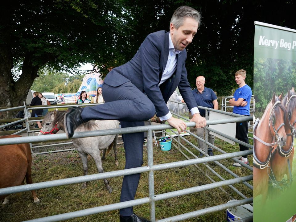 Taoiseach Simon Harris climbing out of a pen containing Kerry Bog pony during a visit to The Tullow Agricultural Show in Carlow. Picture date: Sunday August 18, 2024. PA Photo. See PA story IRISH Health. Photo credit should read: Niall Carson/PA Wire