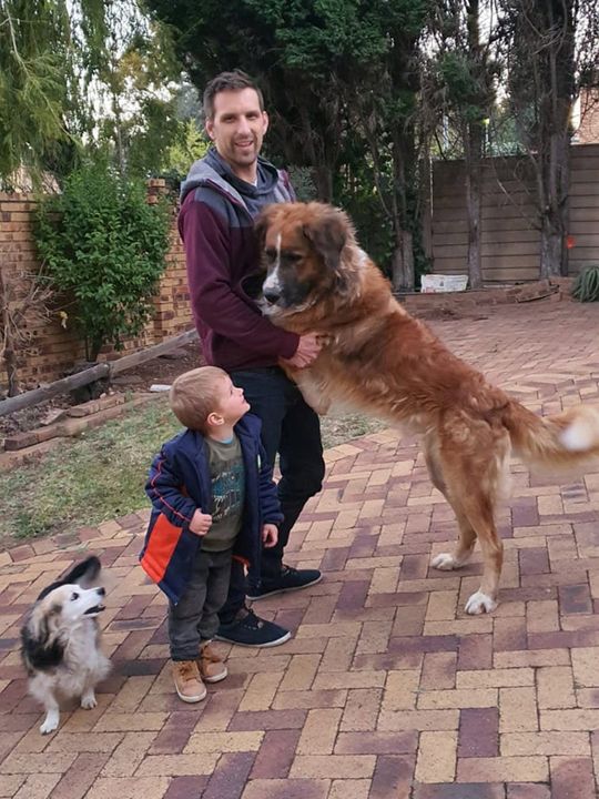 The dog went onto sink his teeth into father Jaco Naudé’s arm when they were putting him into the car. Photo: Lizanne Naude / SWNS