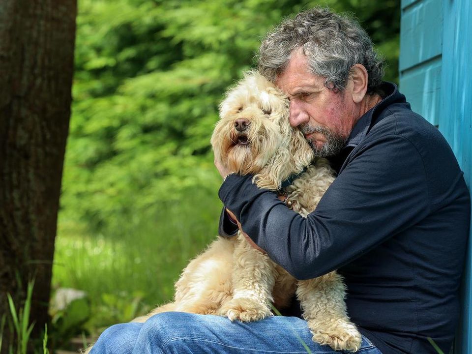 Charlie Bird and his dog Tiger at his home in Ashford, Co Wicklow. Picture by Gerry Mooney