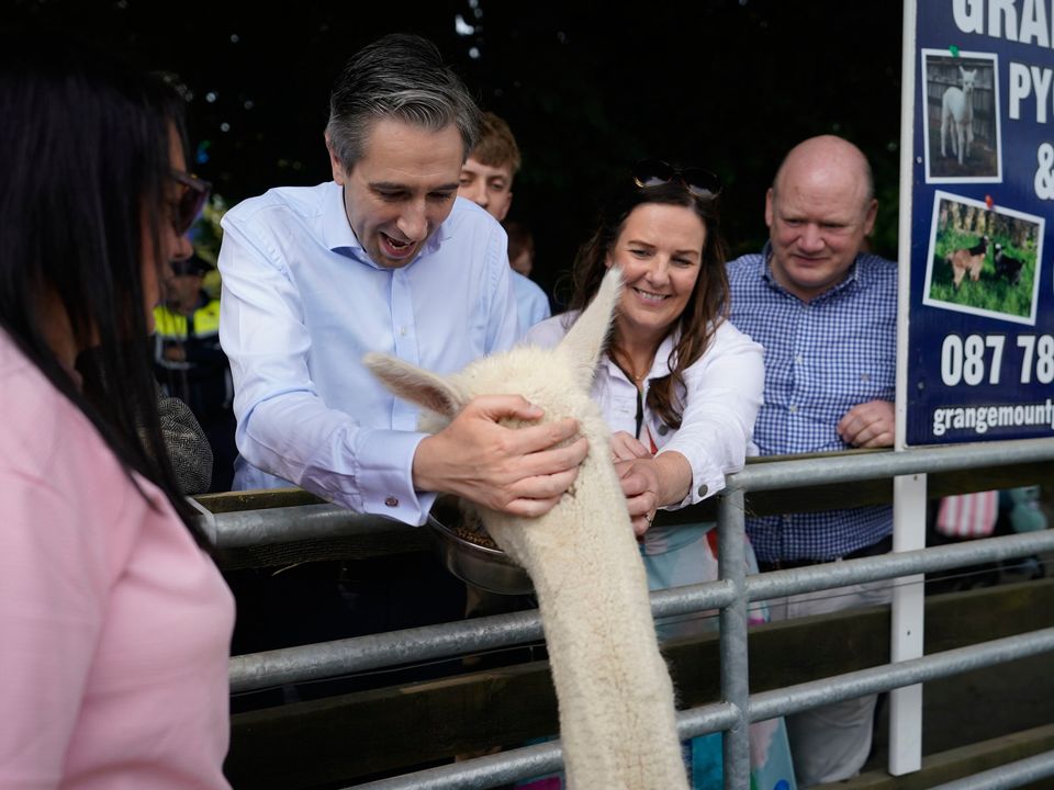 Taoiseach Simon Harris feeding a alpaca during a visit to The Tullow Agricultural Show in Carlow. Picture date: Sunday August 18, 2024. PA Photo. See PA story IRISH Health. Photo credit should read: Niall Carson/PA Wire