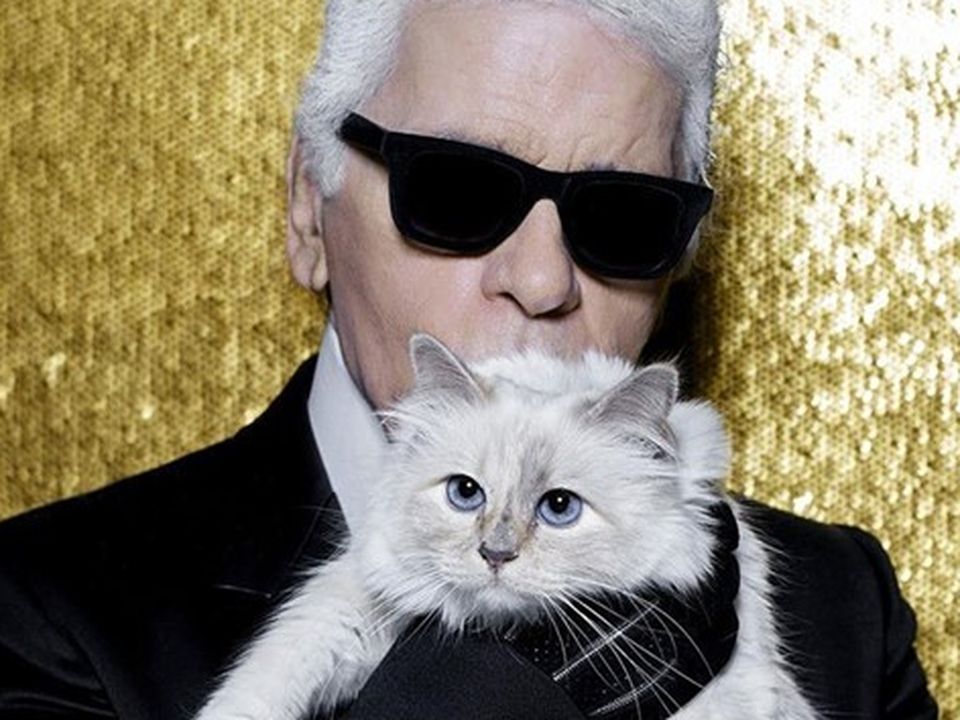 Mademoiselle Choupette with her late owner, the designer Karl Lagerfeld