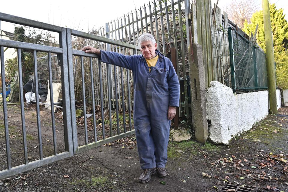 Noel Currie
