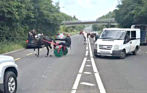 Fans follow a race on a busy motorway outside Kilcullen, Co Kildare