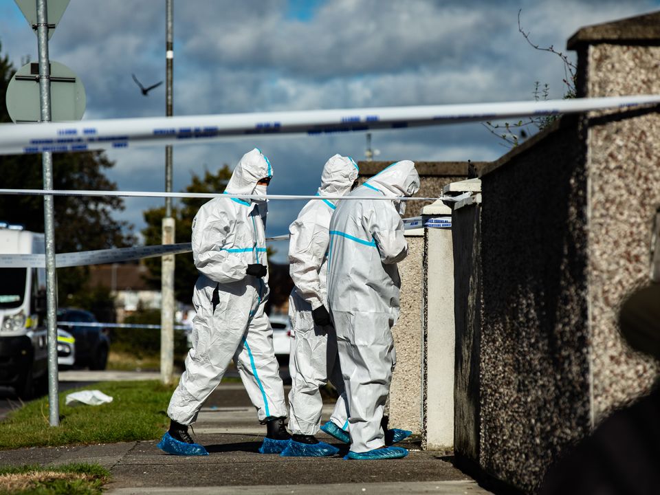 Forensic gardaí at the scene in Rossfield, Tallaght. Photo: Mark Condren