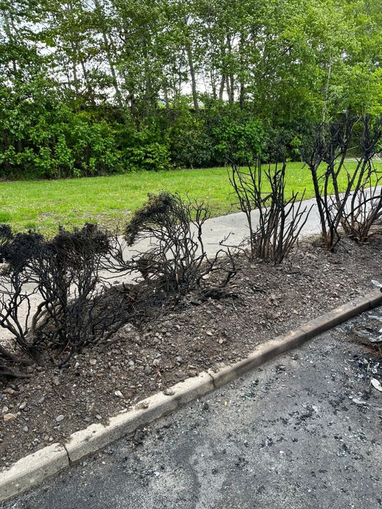 The fire damage in the estate as pictured by Cllr Cheevers