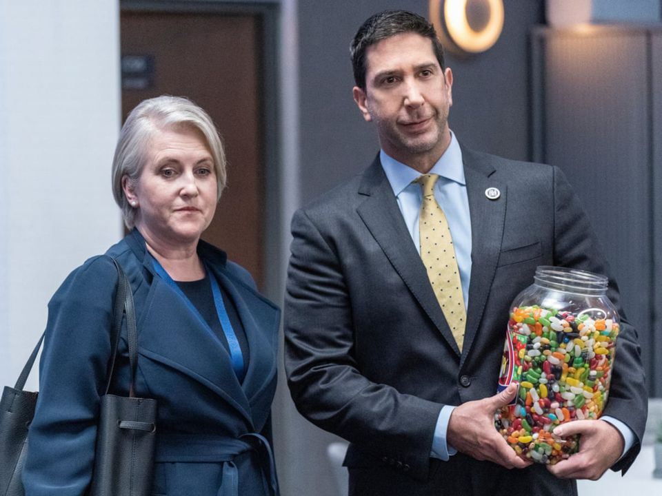 Schwimmer as NSA agent Jerry Bernstein with Sylvestra Le Touzel
