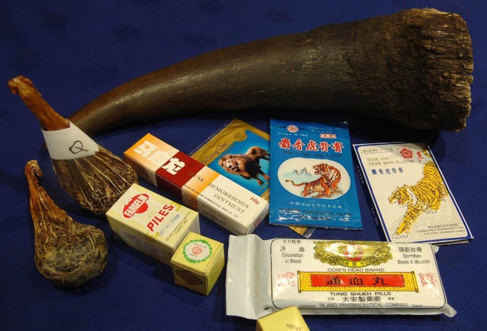 A range of Chinese medicines, including a rhino horn, which can contain poisons and parts of endangered species on show in London
