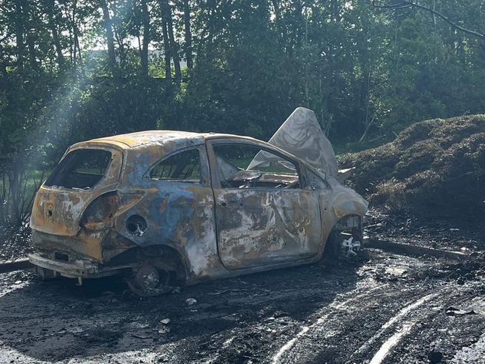 In May Cllr Cheevers posted pictures of burnt out cars in the same estate