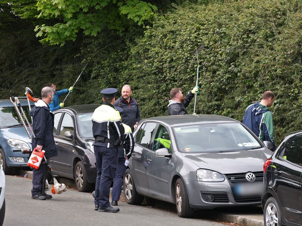 Investigators search through hedges on Curlew Road in Drimnagh, near the scene of the shooting. Photo: Collins