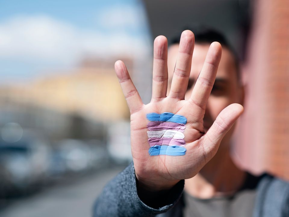 TRANS PRIDE FLAG