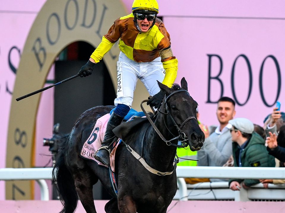 Jockey Paul Townend celebrates on Galopin Des Champs after winning the Boodles Cheltenham Gold Cup Chase at Prestbury Park last month. Photo: Seb Daly/Sportsfile
