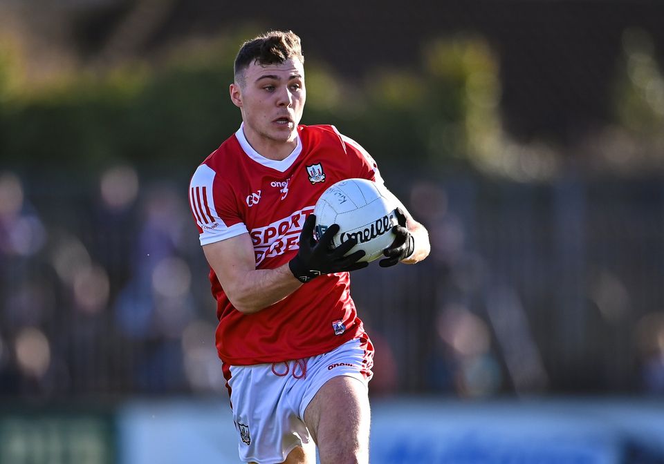 Daniel O'Mahony has been in good form for Cork. Photo: Piaras Ó Mídheach/Sportsfile