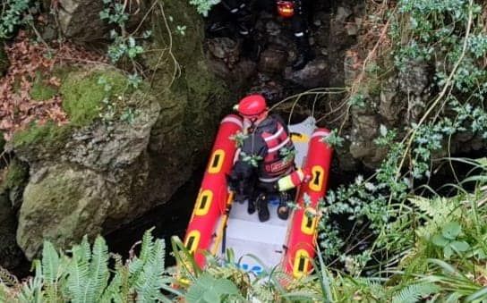 Firefighters rescue Nova from Tollymore forest