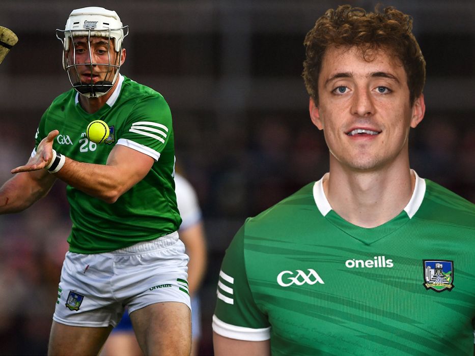 All-Ireland champ hurler Pat Ryan allegedly involved in Limerick Prison ...