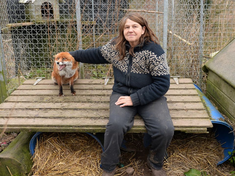 Pat Edwards with Shadow the fox
