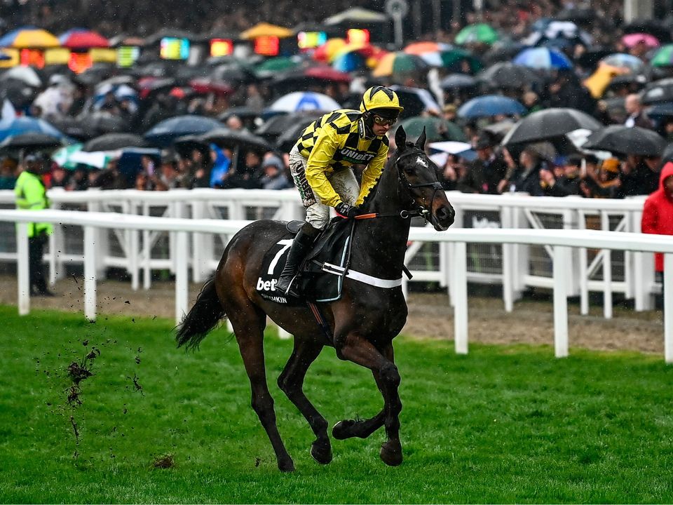 Shishkin, with Nico de Boinville up, in action at Cheltenham in 2022. Photo: David Fitzgerald/Sportsfile