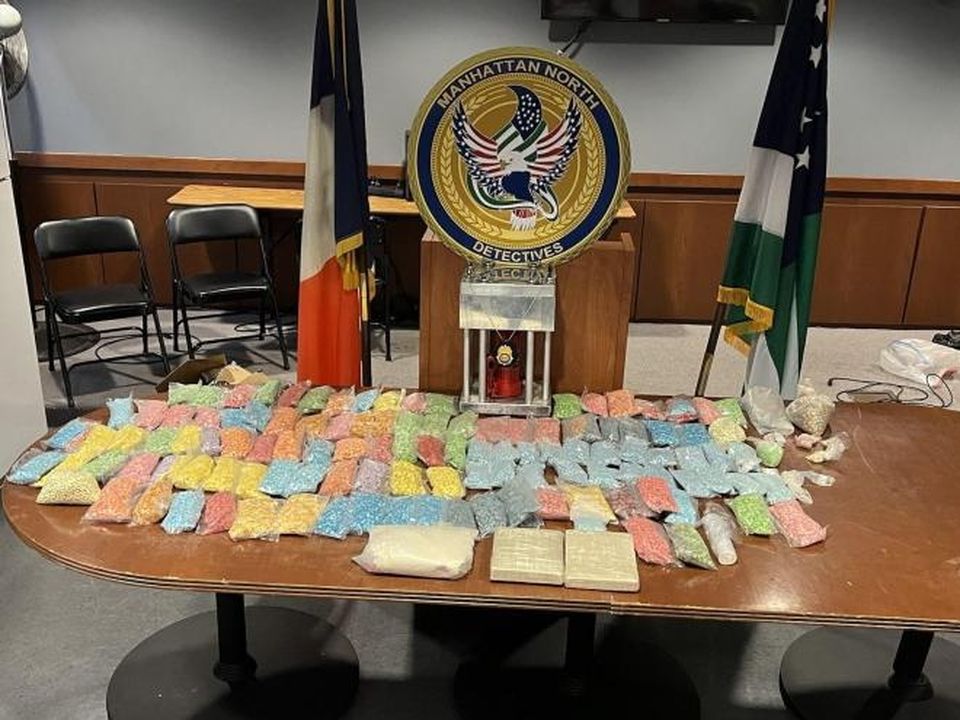 The massive haul of drugs