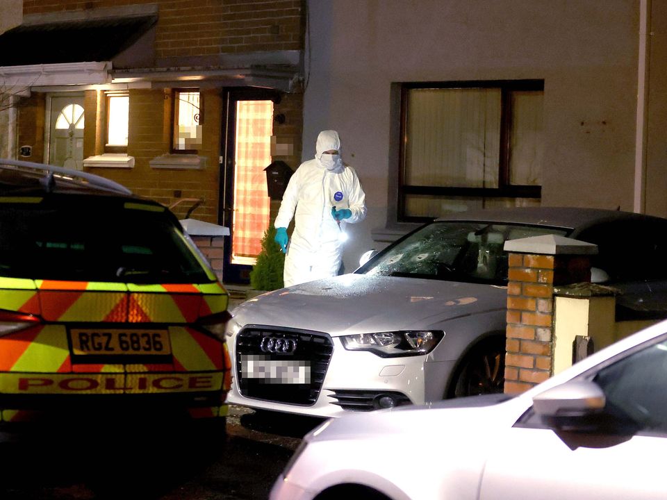 Police and forensic officers at the scene of the incident in the Meadow View area of Ballymoney on Monday night.
