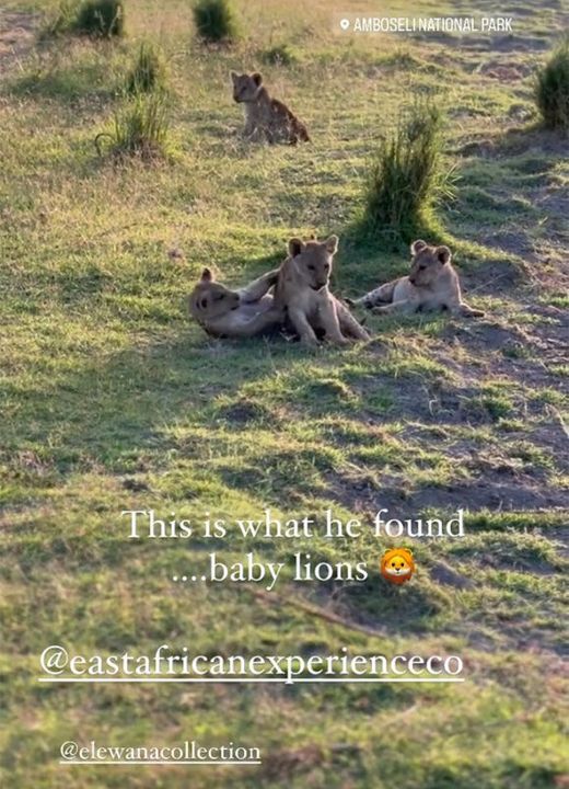 Joanne shared snaps from the safari on her Instagram.
