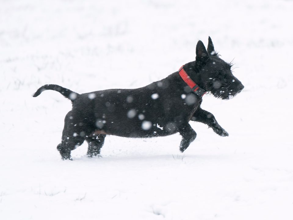 Weather warnings of snow are in place (Joe Giddens/PA)