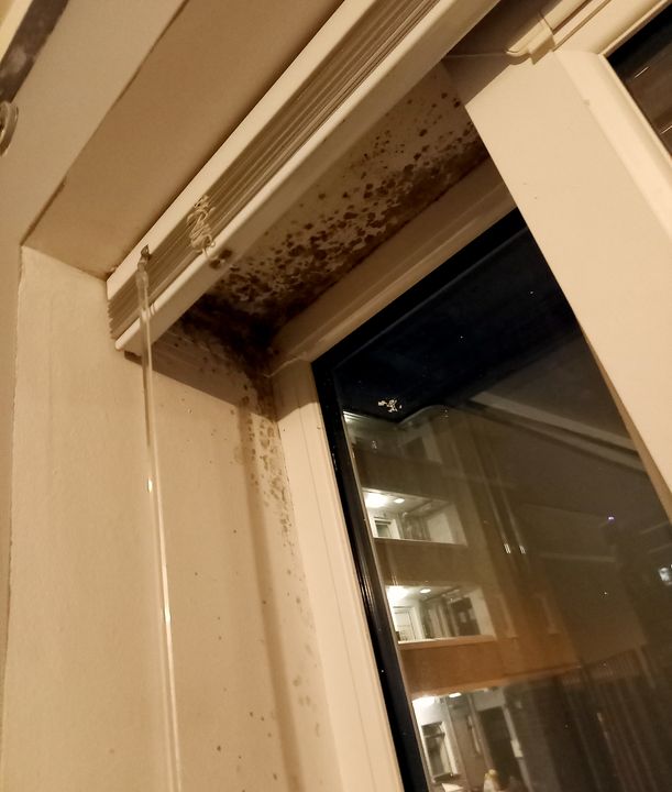Mould on windows in the Emmet building complex
