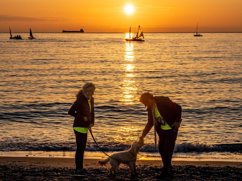 Charlie and Claire Bird with Tiger. Photo: Leigh Anderson
