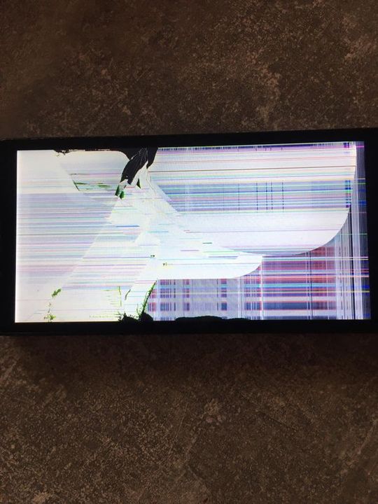 Ms Kelly claims that the incident smashed her son's phone. Picture: Sarah Kelly/Liverpool Echo
