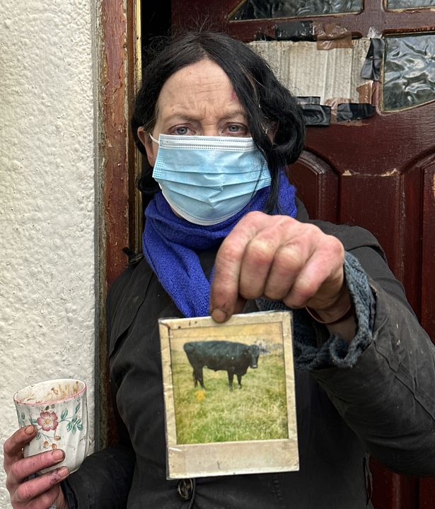 Margaret Scanlon with a picture of her cow Polly at her home in Co. Sligo