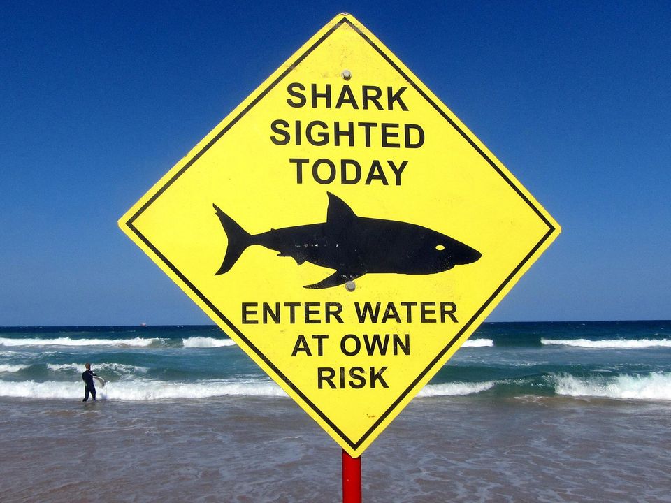 File photo of warning sign at Sydney's Manly Beach Photo: REUTERS/David Gray
