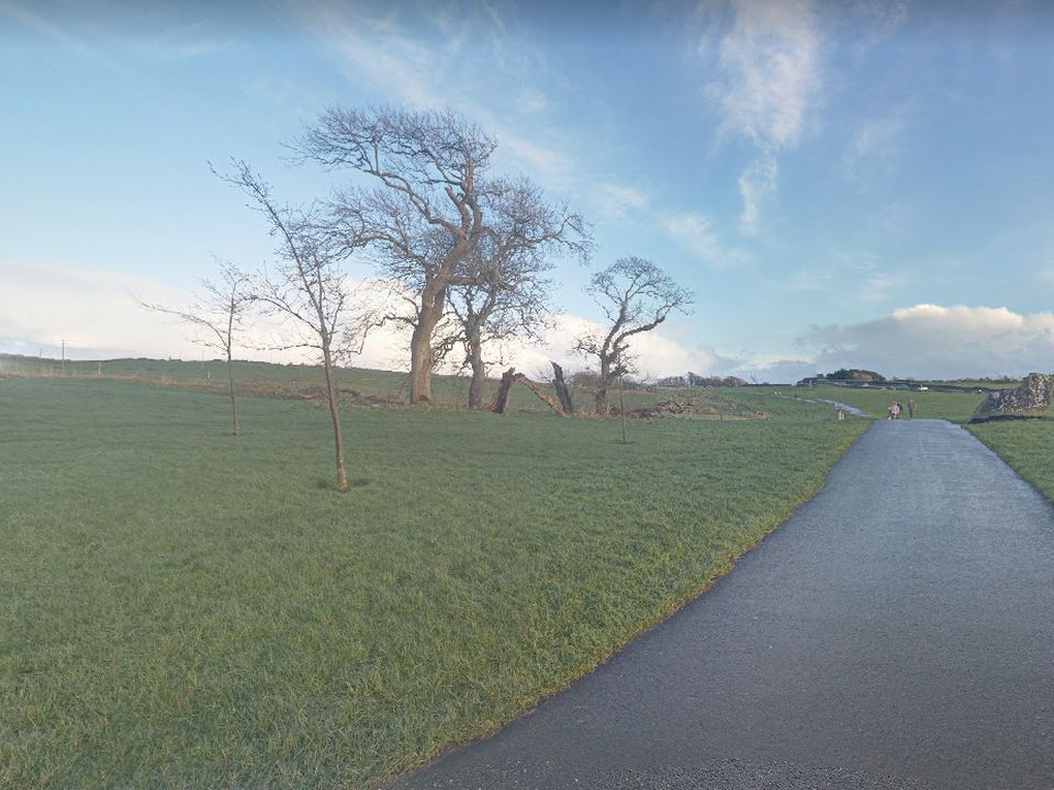 Renville Park in Co. Galway (Google Maps)