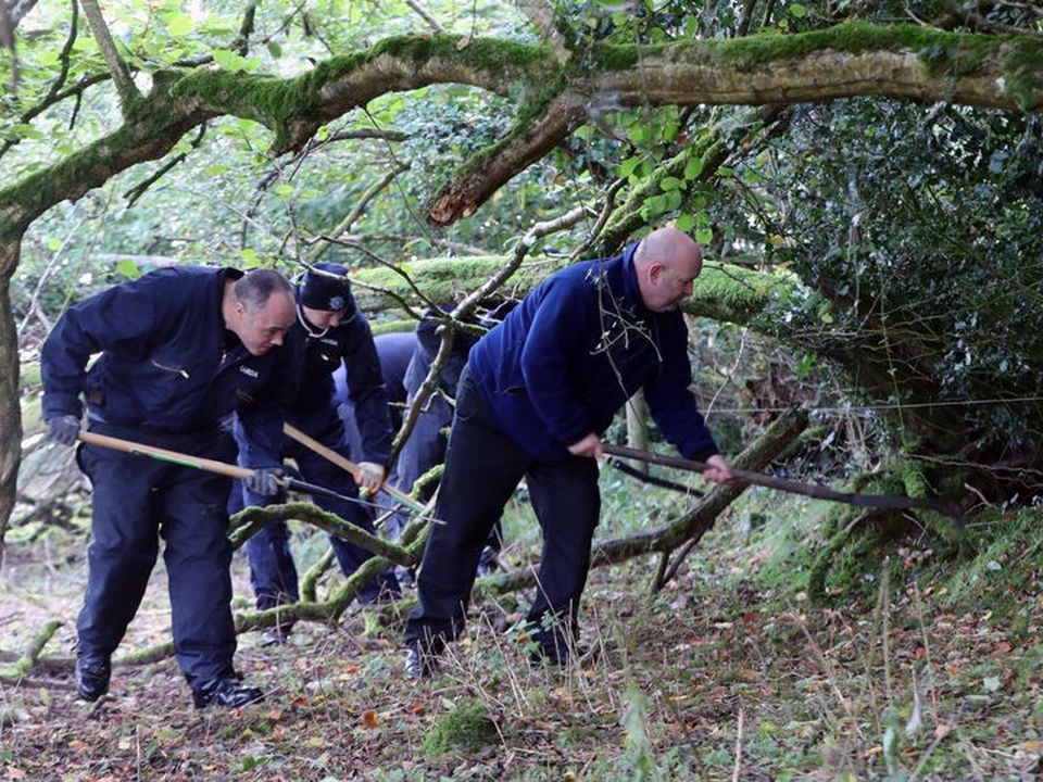 A search of a wooded area on the Kildare/Wicklow border for the remains of Deirdre Jacob found nothing ‘of evidential value’, Gardai said