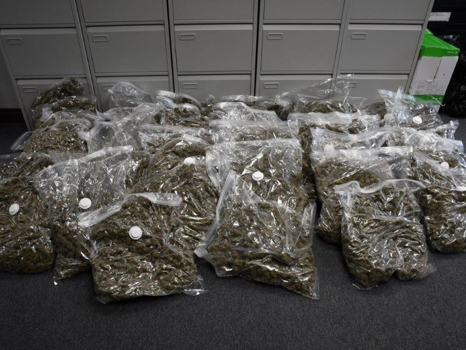 photo of drugs seized