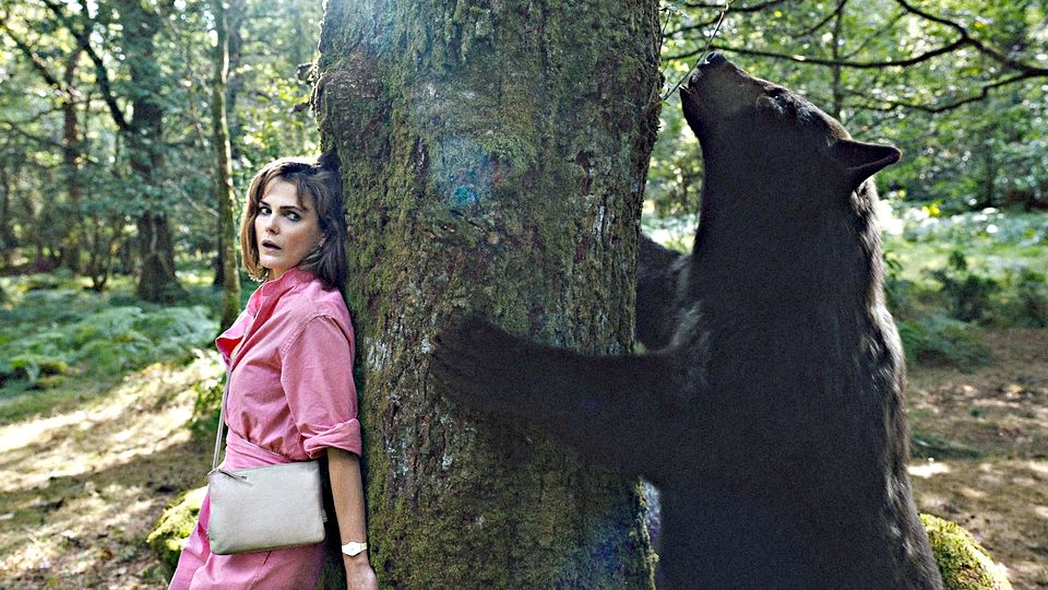 The tale of Cocaine Bear, loosely based on a true story, was filmed in Ireland