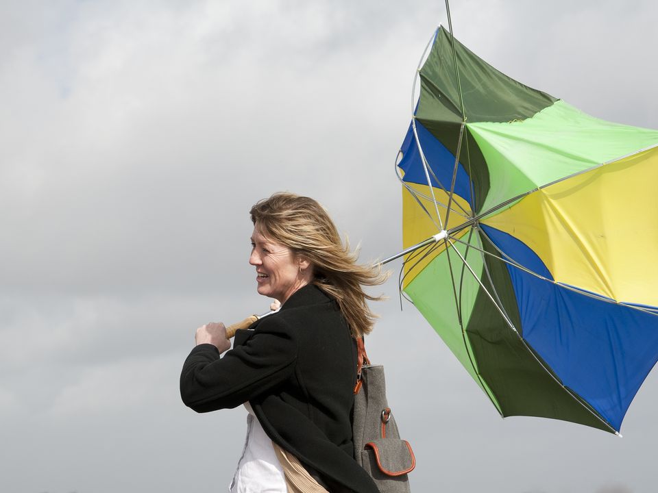 Blustery conditions expected today. Photo: Stock image