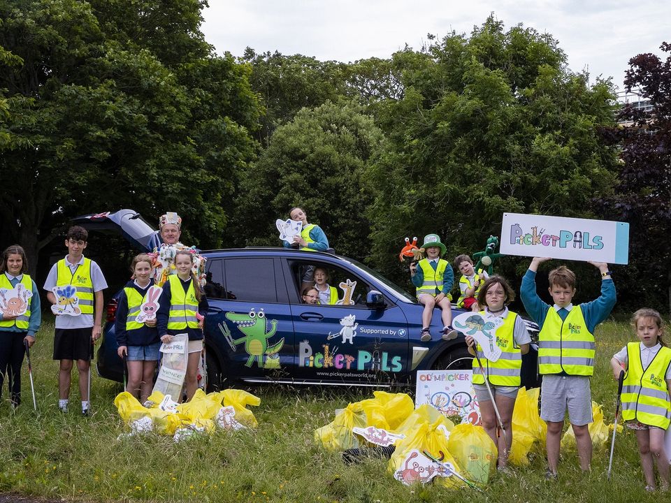 BMW has teamed up with Picker Pals