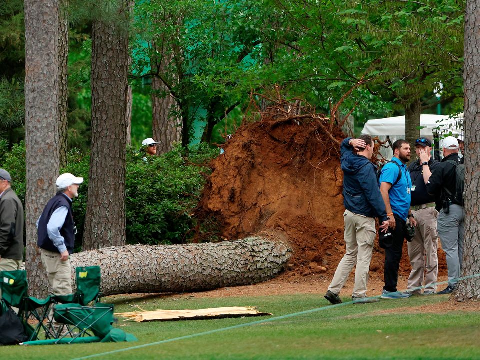 Spectators were lucky to avoid falling trees