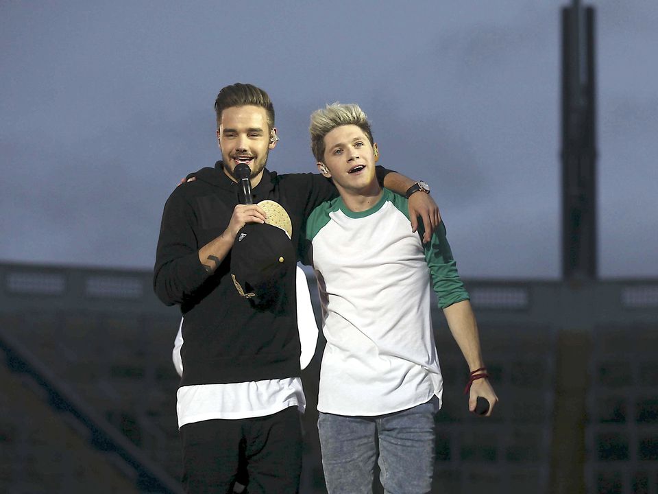 I didn't know I was saying goodbye forever' – Niall Horan shares tribute to  'amazing friend' Liam Payne - SundayWorld.com