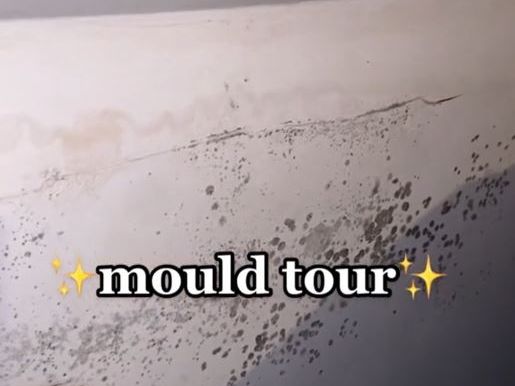 Roisin shared videos of the mould on the walls