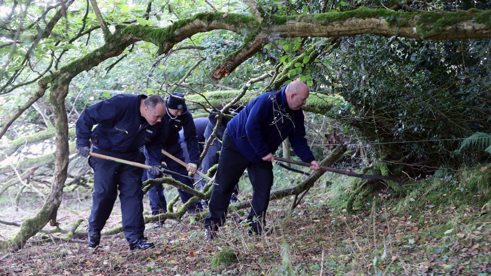 A search of a wooded area on the Kildare/Wicklow border for the remains of Deirdre Jacob found nothing ‘of evidential value’, Gardai said