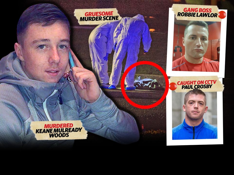 The grisly murder of Keane Mulready-Woods shocked the world