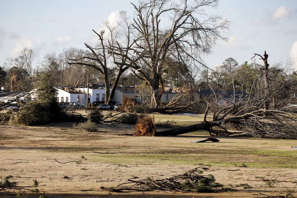Trees uprooted by a tornado that went through downtown Selma, Ala., Thursday, Jan. 12, 2023, lie on the ground at Selma Country Club. (AP Photo/Butch Dill)