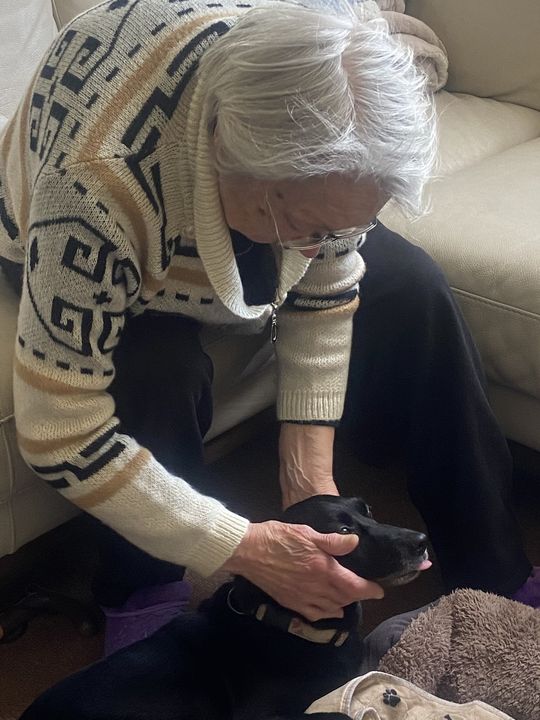 Violetta (86) with her beloved dog Tasha. Picture: Debbie Deegan