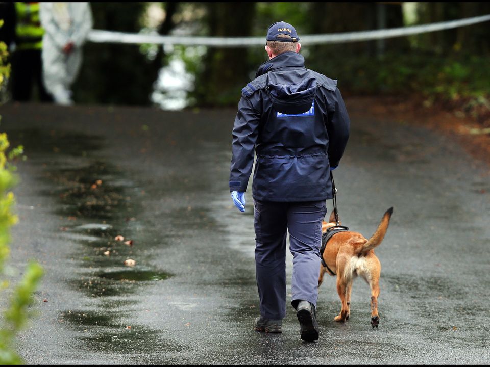 Garda dog and handler